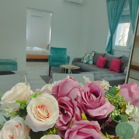 Apartman Radovic Смедерево Екстериор снимка