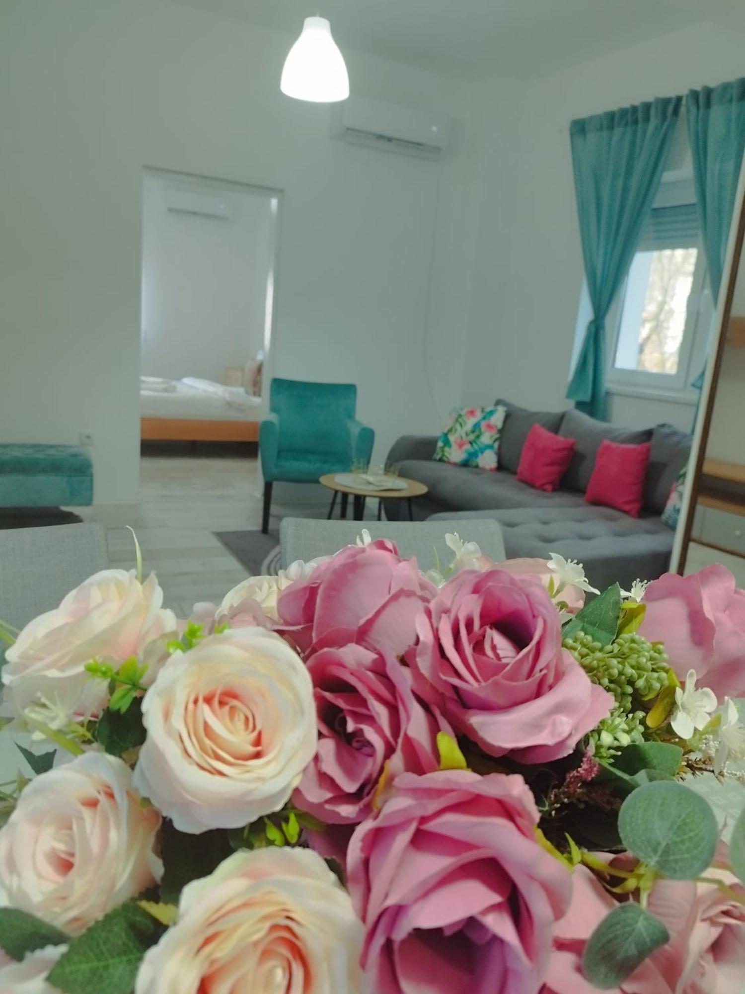 Apartman Radovic Смедерево Екстериор снимка
